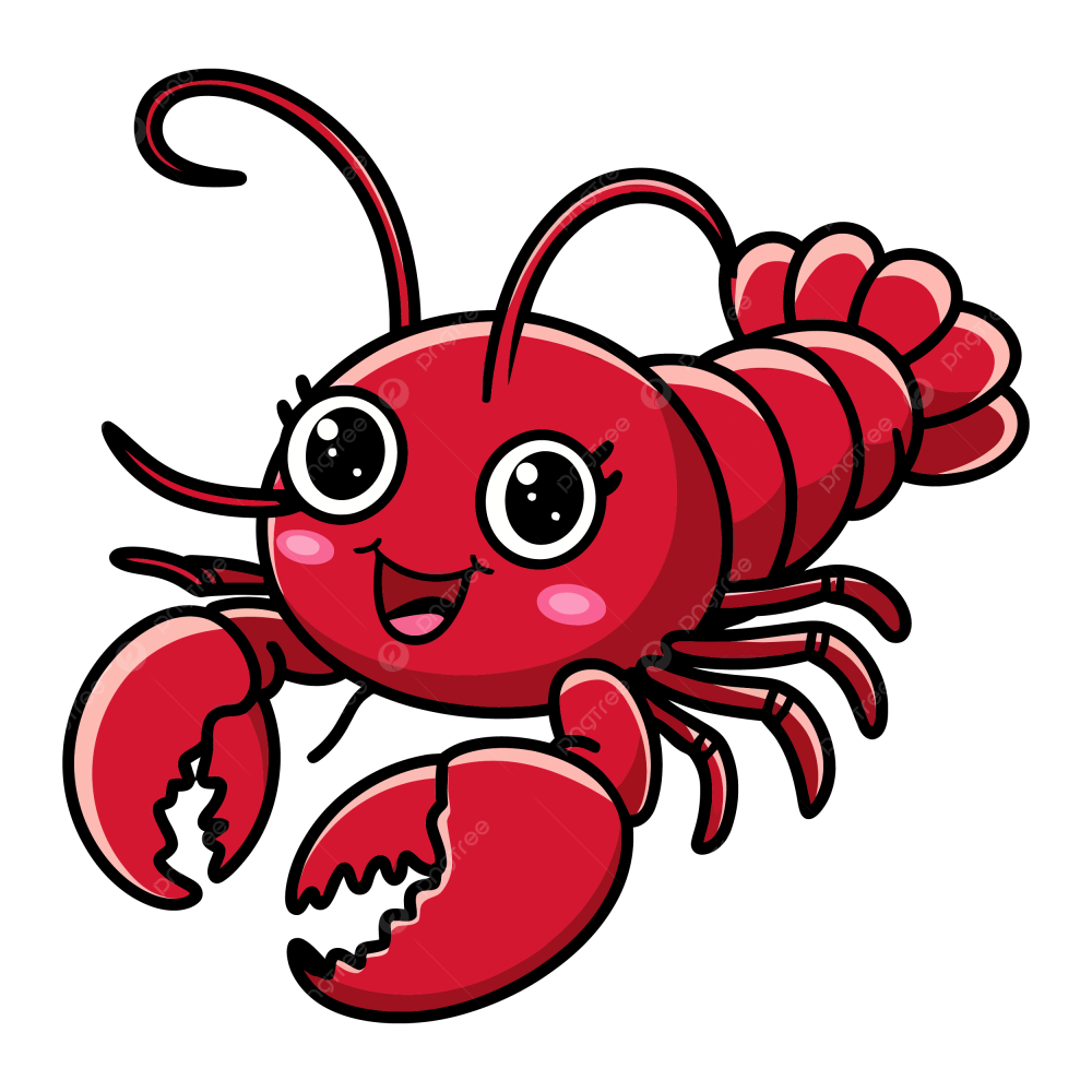 dp