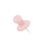 .pin.